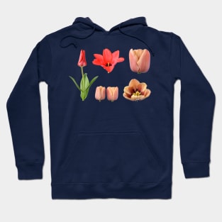 Assorted tulips Hoodie